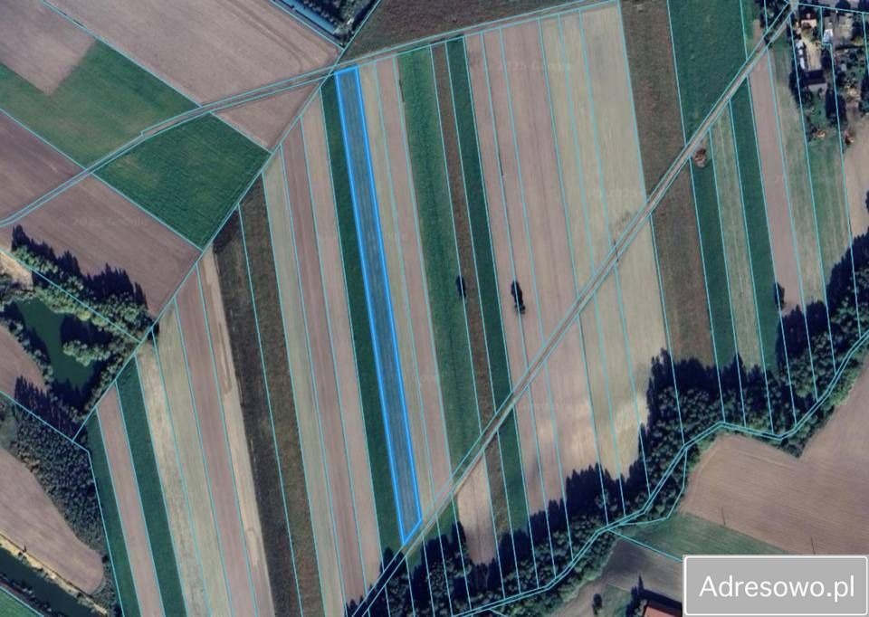 Działka siedliskowa Nowy Karolew Raszawy. Zdjęcie 2