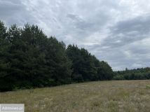 Działka budowlana Kalinowo. Zdjęcie 1