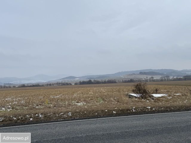 Działka inwestycyjna Jaszkowa Dolna. Zdjęcie 1