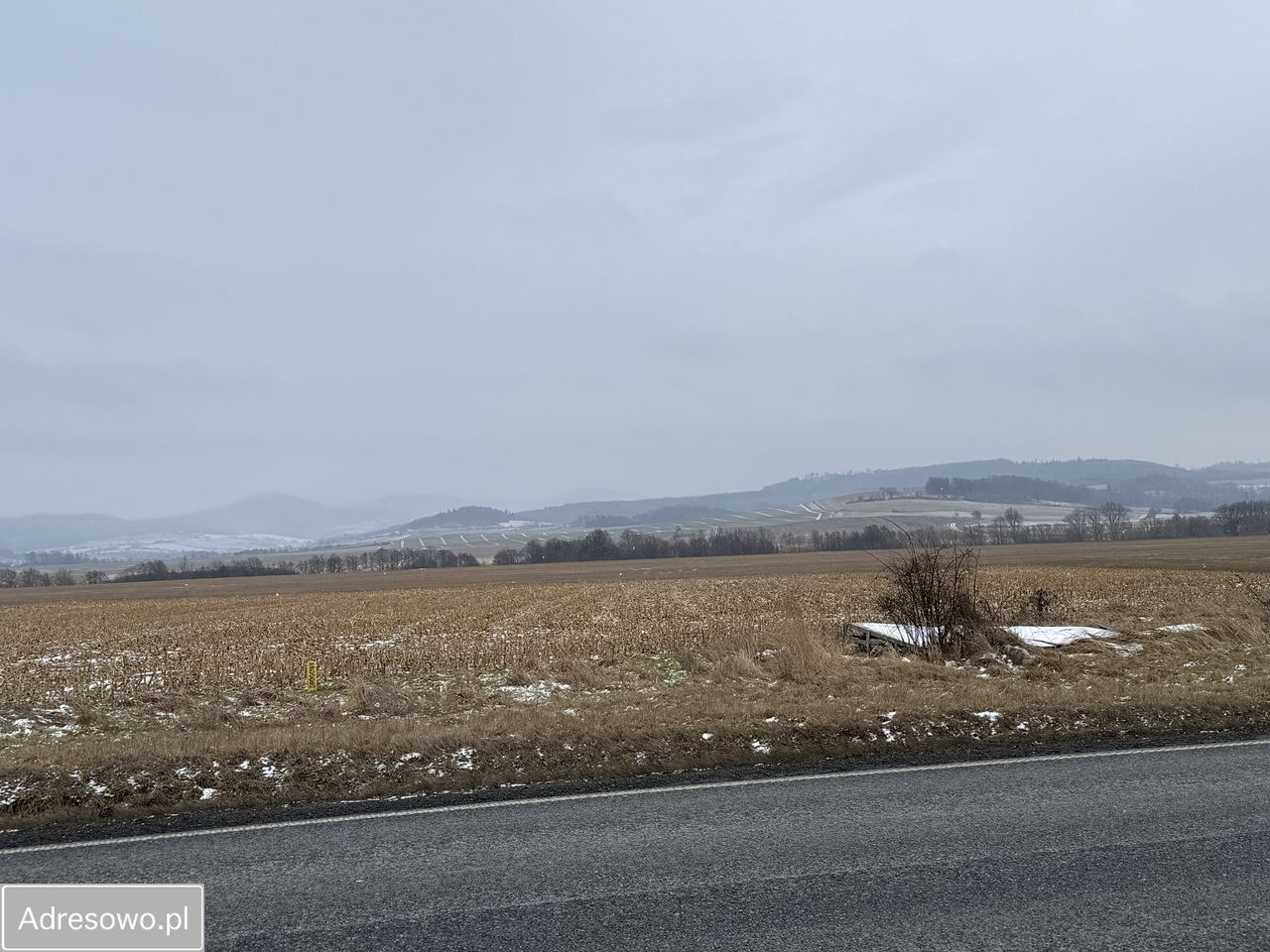 Działka inwestycyjna Jaszkowa Dolna. Zdjęcie 1