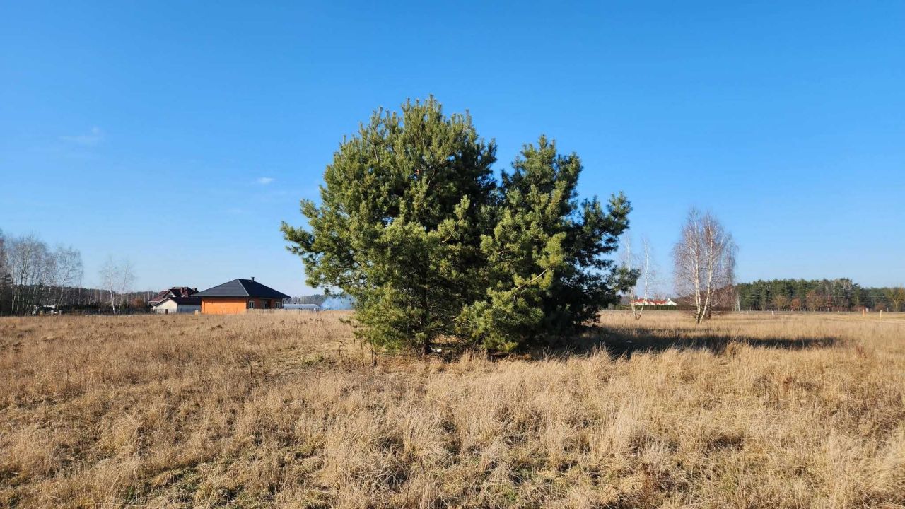 Działka budowlana Szadki. Zdjęcie 3