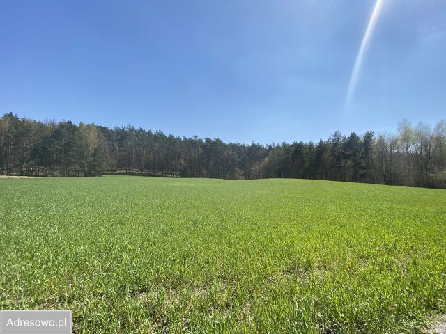Działka Żagno. Zdjęcie 1