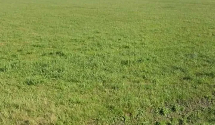 Działka budowlana Kielcza