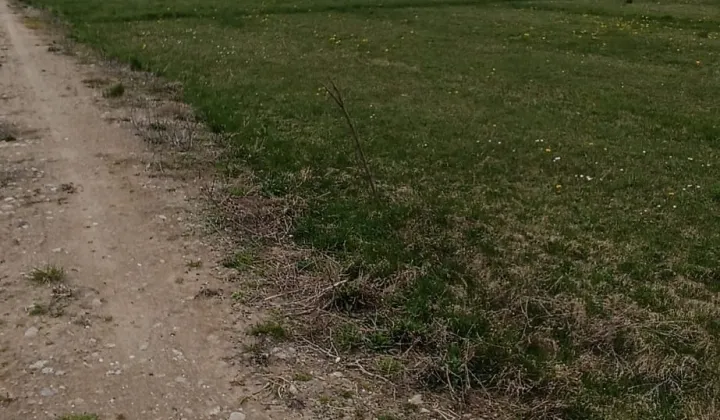 Działka budowlana Budy Czarnockie