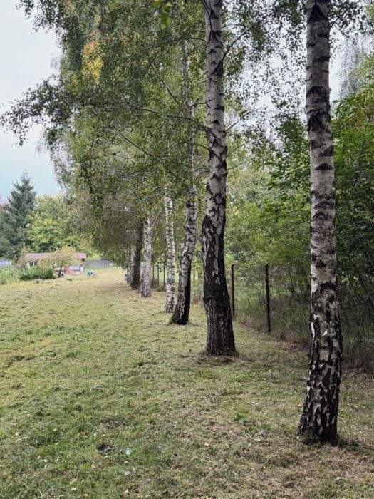 Działka budowlana Potęgowo, ul. Racławicka. Zdjęcie 6