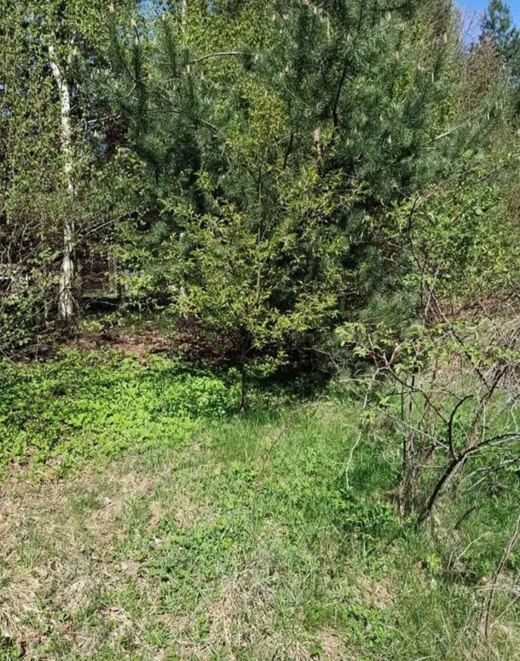 Działka budowlana Marcinków. Zdjęcie 2