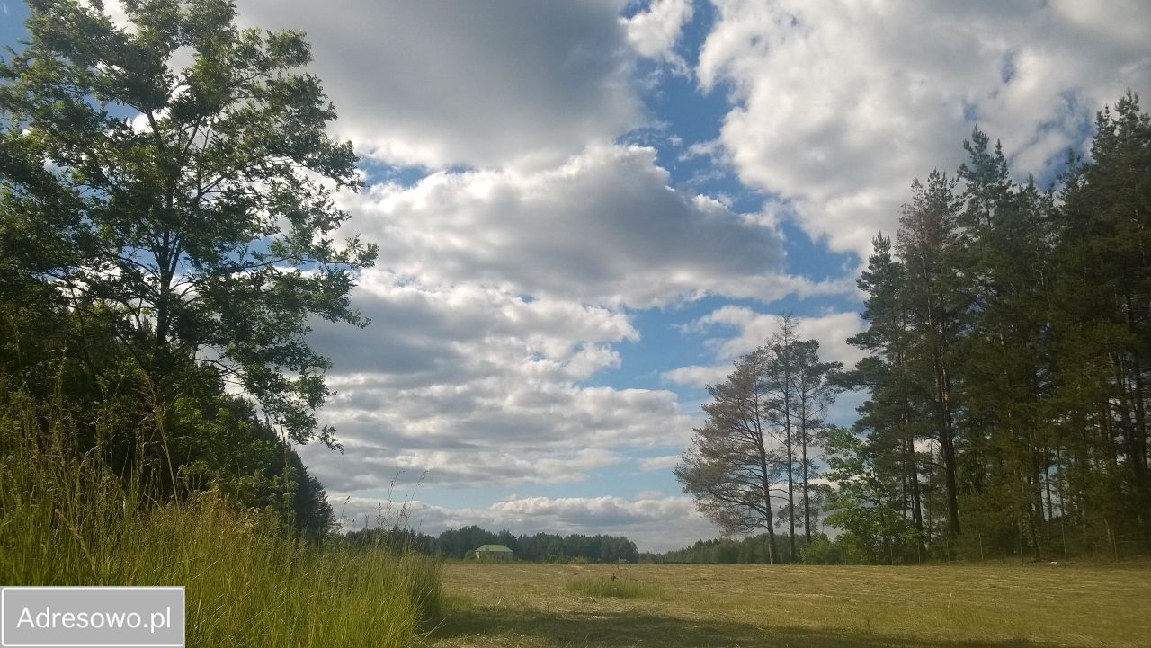 Działka budowlana Walne. Zdjęcie 8