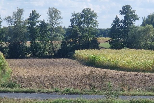 Działka rolno-budowlana Smolnik. Zdjęcie 1