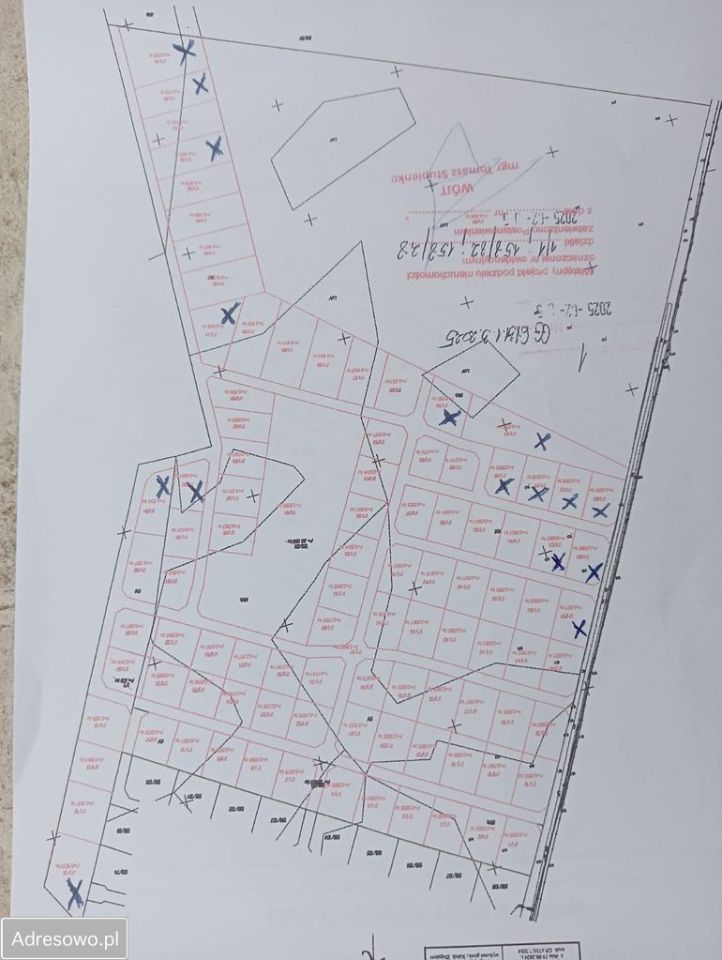 Działka rolno-budowlana Laski Lubuskie. Zdjęcie 9