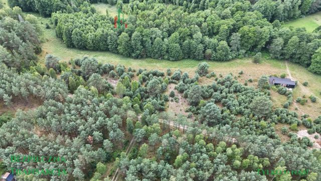 Działka rekreacyjna Zimne Zdroje. Zdjęcie 5