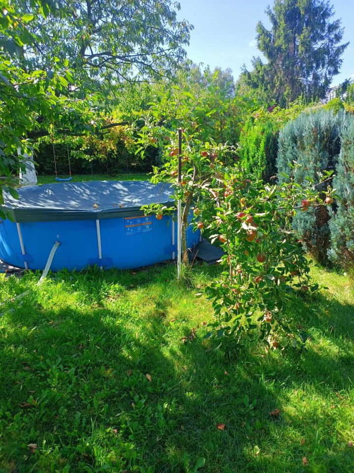 Działka rod Chorzów. Zdjęcie 2