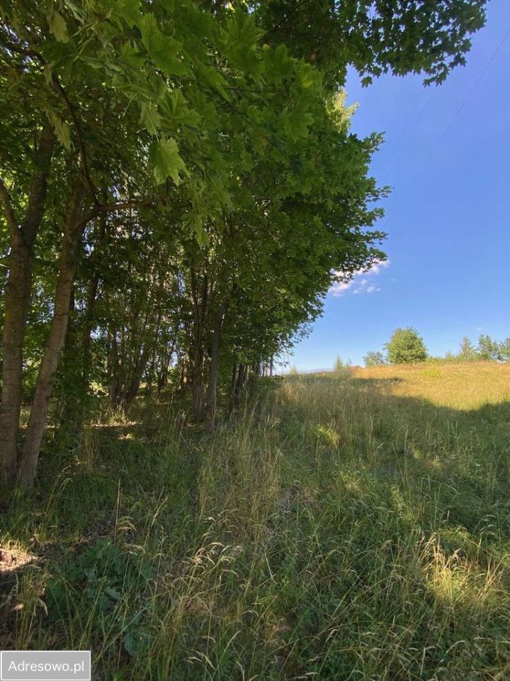 Działka budowlana Zawada. Zdjęcie 7