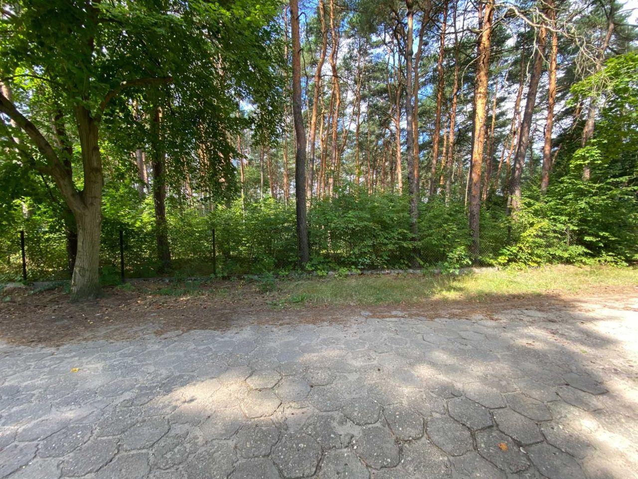 Działka budowlana Żarki-Letnisko, ul. Grunwaldzka. Zdjęcie 1