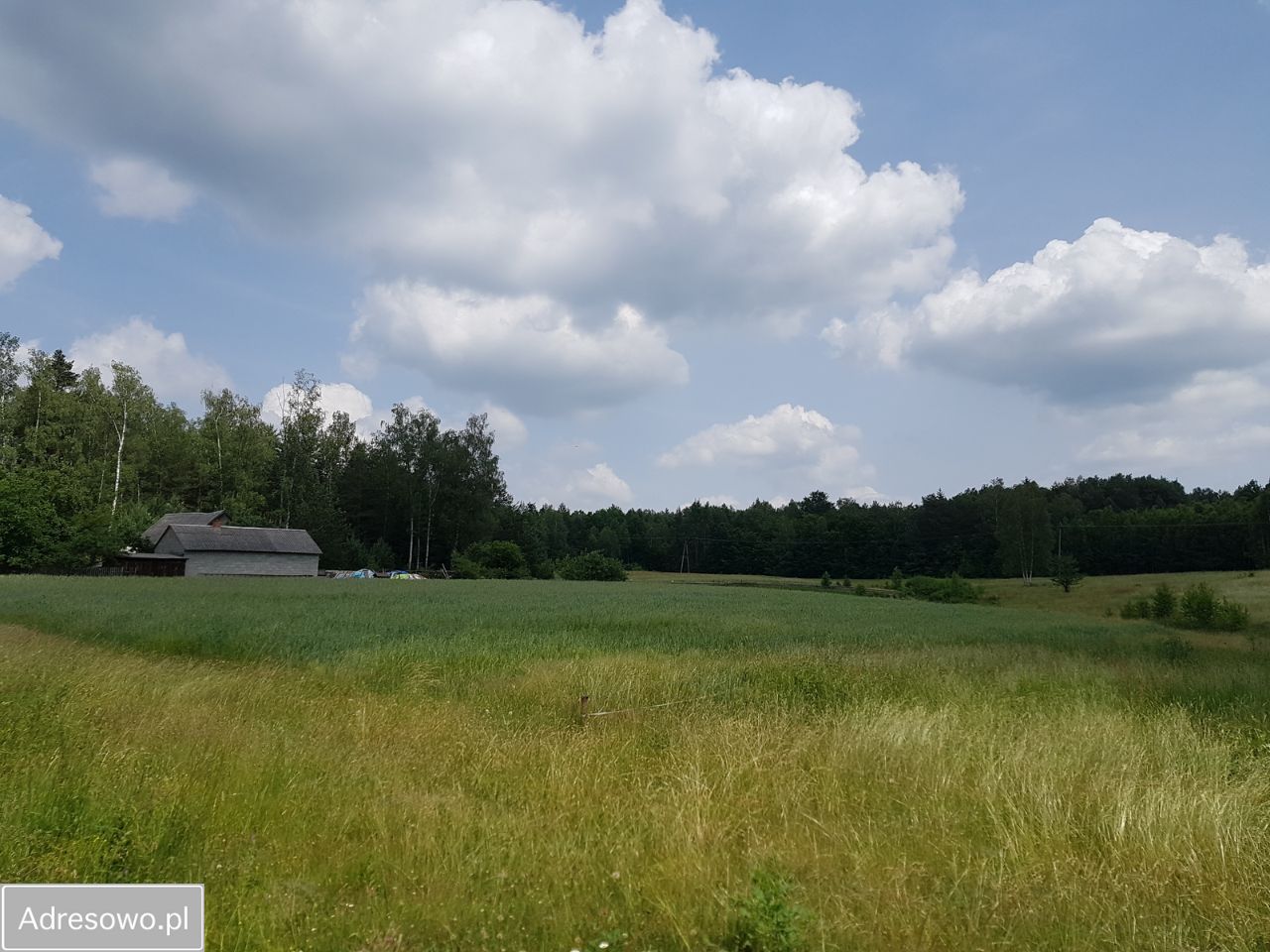 Działka budowlana Kontrewers. Zdjęcie 13