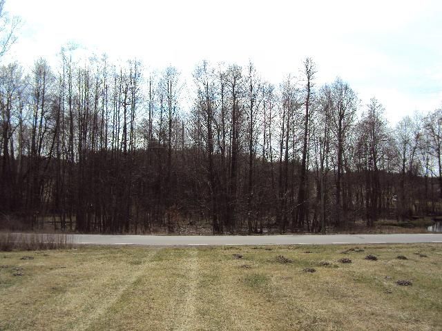 Działka rolno-budowlana Plizin. Zdjęcie 8