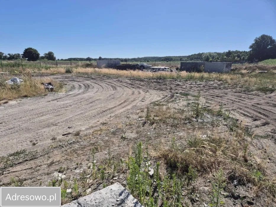Działka inwestycyjna Czerwieńsk, ul. Kwiatowa. Zdjęcie 4