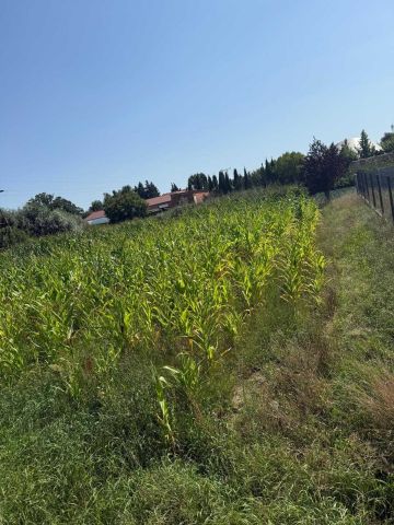 Działka rolno-budowlana Sulęcinek Kopczynowo, ul. Leśna. Zdjęcie 1