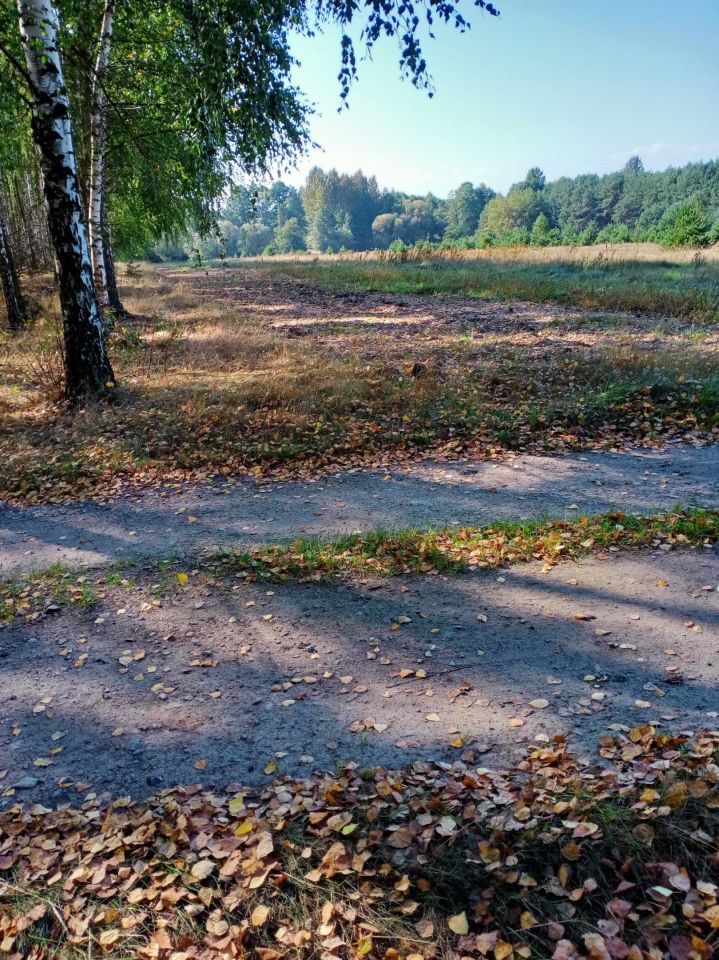 Działka rolno-budowlana Ostrówka. Zdjęcie 7