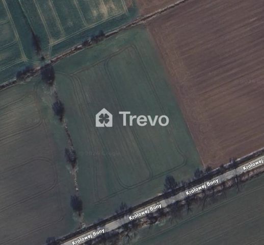 Działka rolna Wocławy, ul. Królowej Bony. Zdjęcie 1