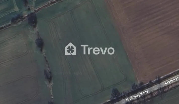 Działka rolna Wocławy, ul. Królowej Bony