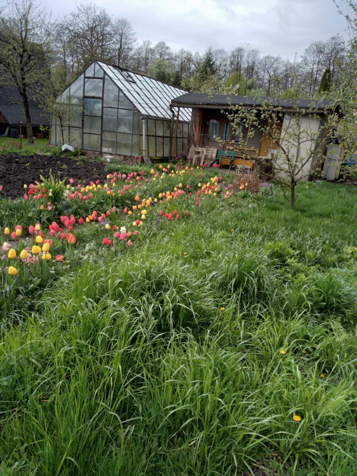 Działka rod Giżycko. Zdjęcie 3