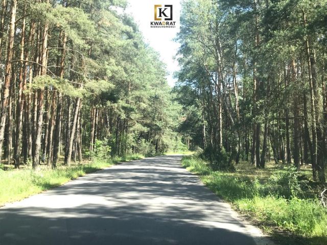 Działka budowlana Borówek. Zdjęcie 2