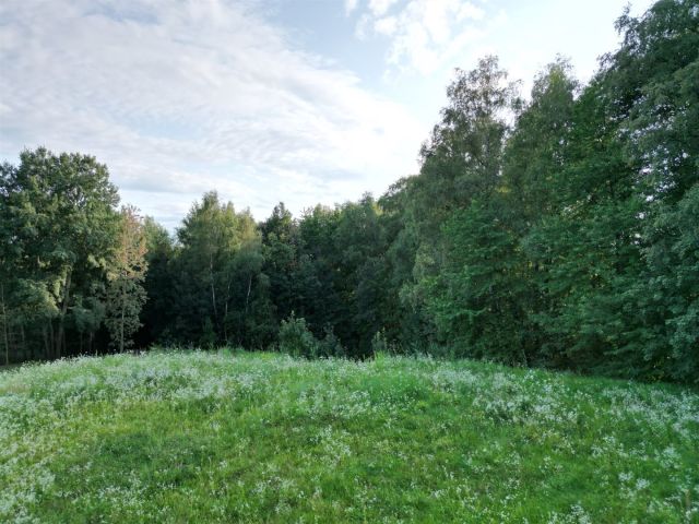 Działka budowlana Olszowice, ul. Olszynowa. Zdjęcie 2