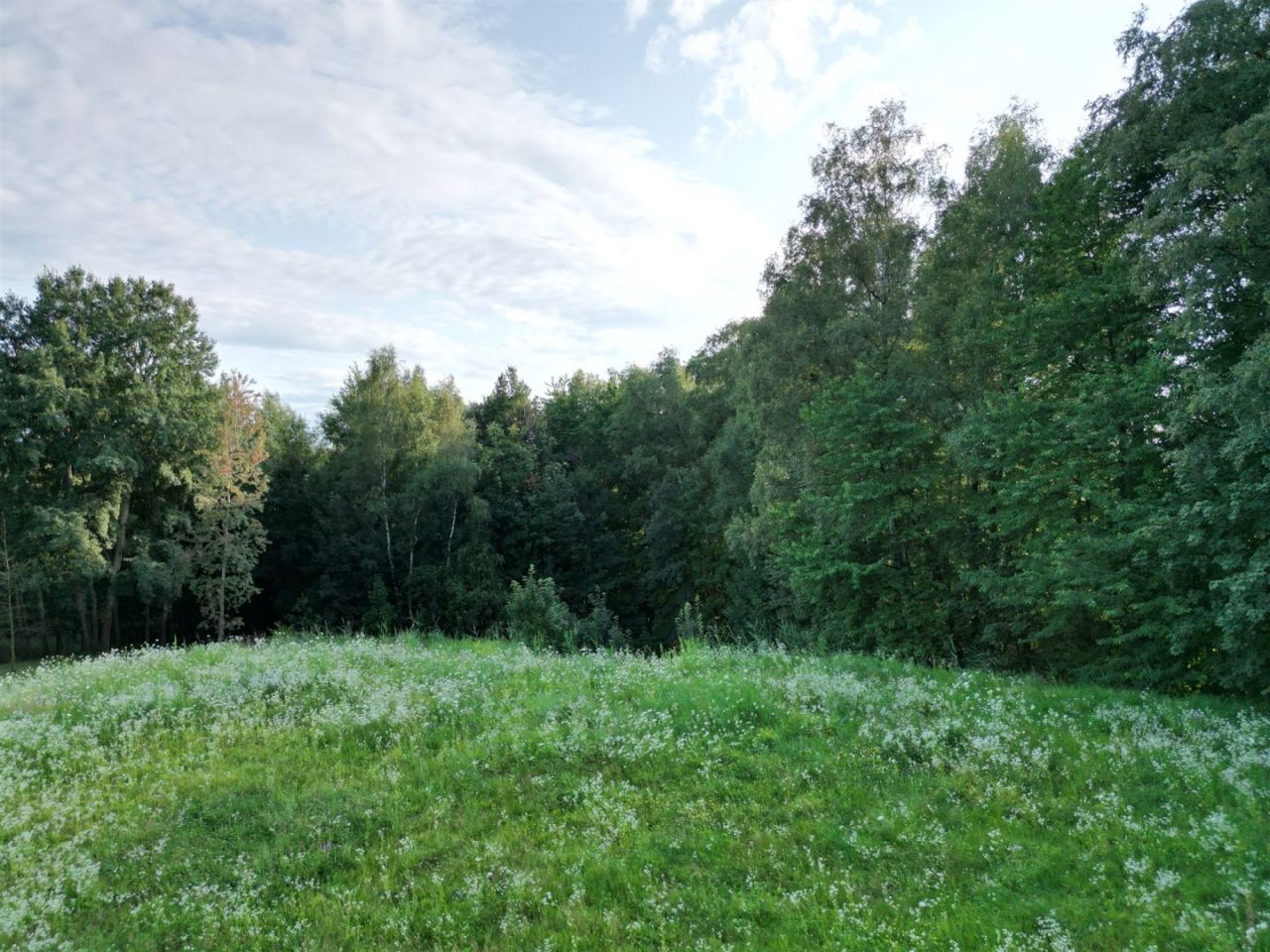 Działka budowlana Olszowice, ul. Olszynowa. Zdjęcie 2