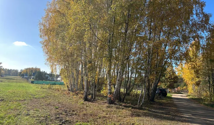Działka budowlana Zalesie, ul. Mrowna