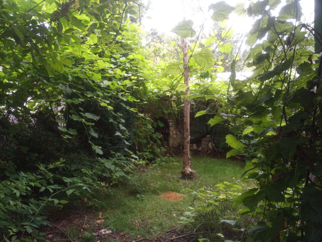 Działka rod Sosnowiec Środula