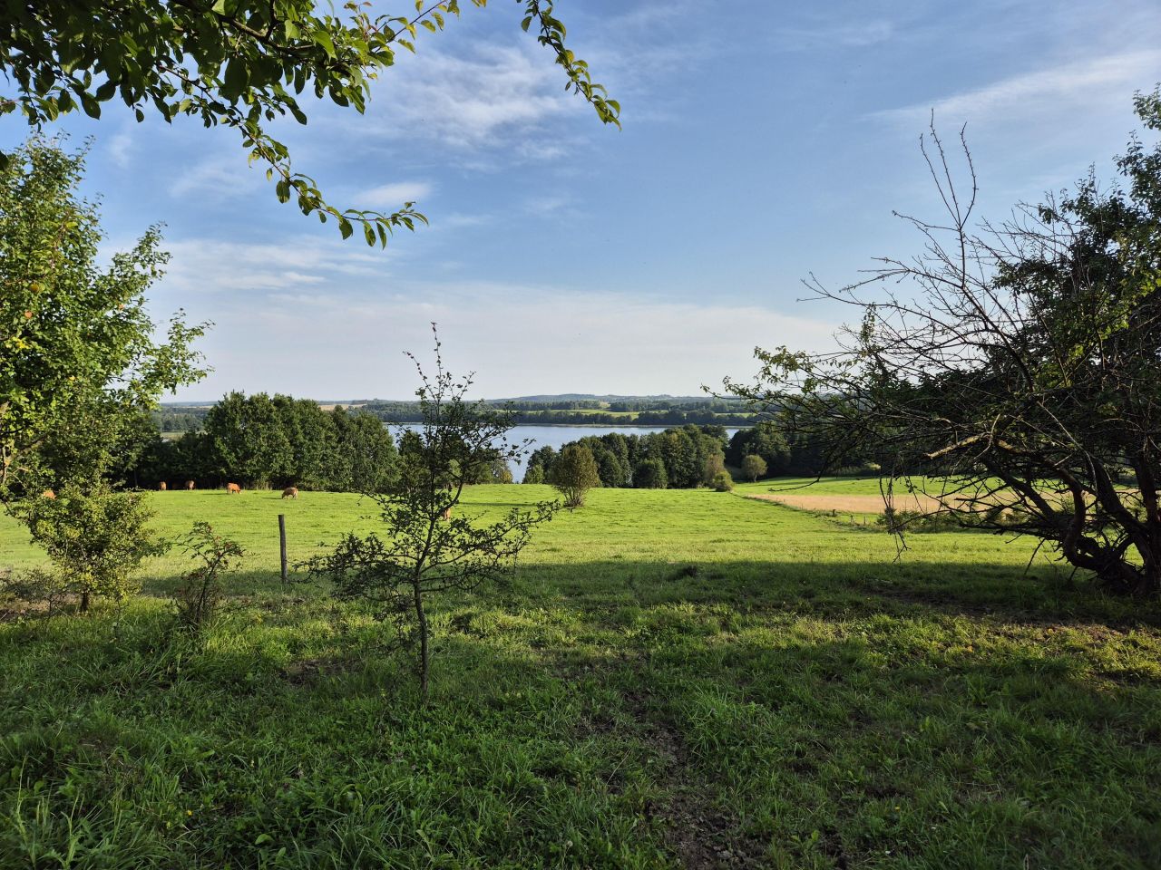 Działka rolno-budowlana Suryty. Zdjęcie 6