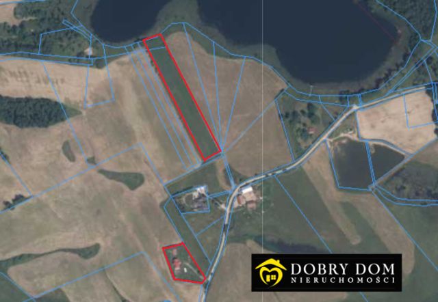 dom wolnostojący, 5 pokoi Żabin. Zdjęcie 3