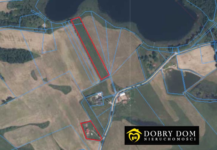 dom wolnostojący, 5 pokoi Żabin. Zdjęcie 3