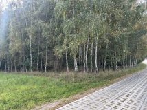 Działka leśna Głodowo. Zdjęcie 3
