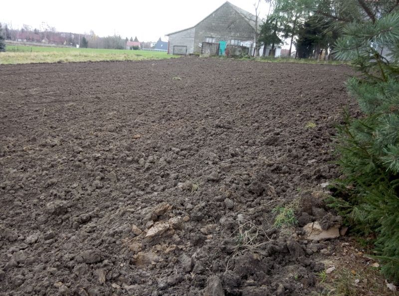 Działka rolno-budowlana Łysokanie. Zdjęcie 3