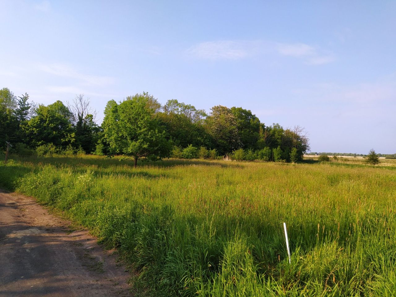 Działka rekreacyjna Strzeżenice. Zdjęcie 7