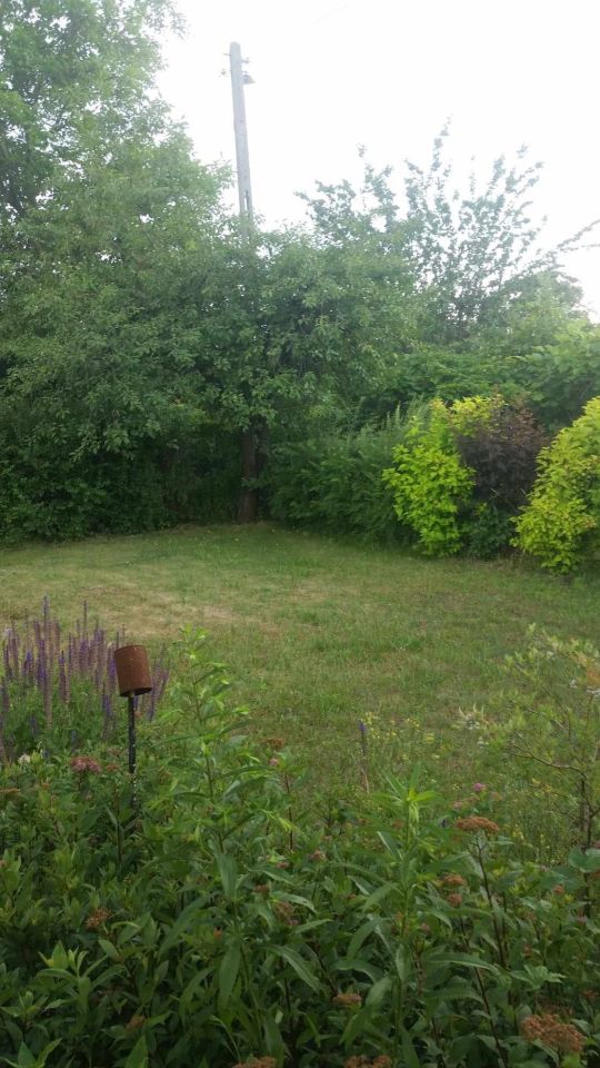 Działka rod Warszawa Groty, ul. Bolimowska. Zdjęcie 2