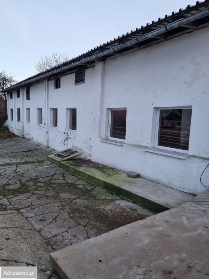 Hala/magazyn Wronin. Zdjęcie 2