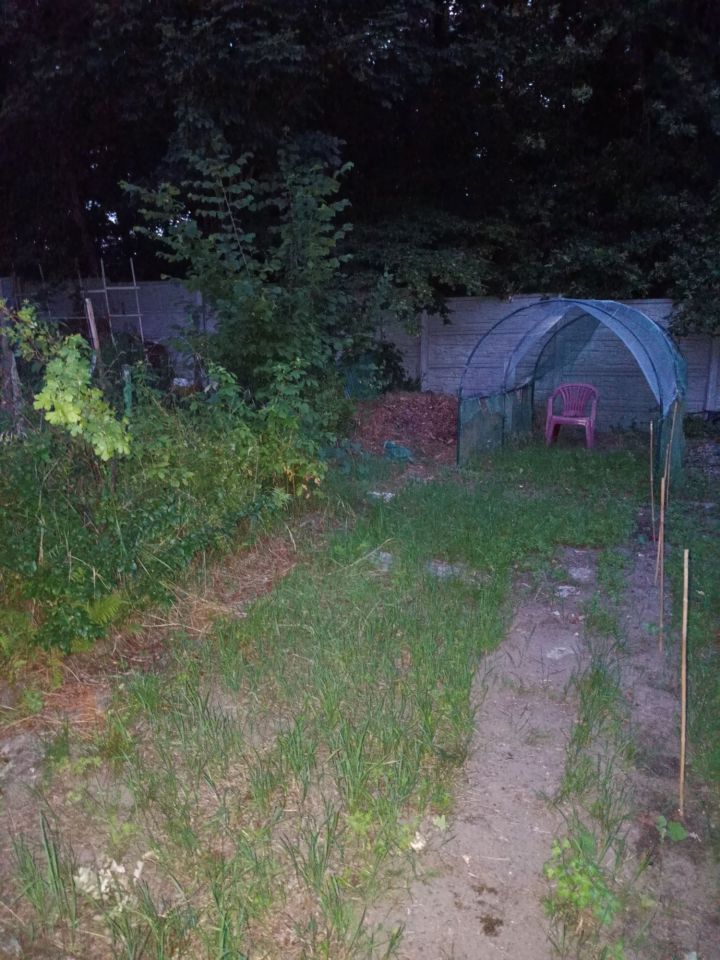 Działka rod Zielona Góra. Zdjęcie 4