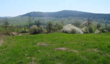 Działka rolna Posada Jaśliska Sołtyskie