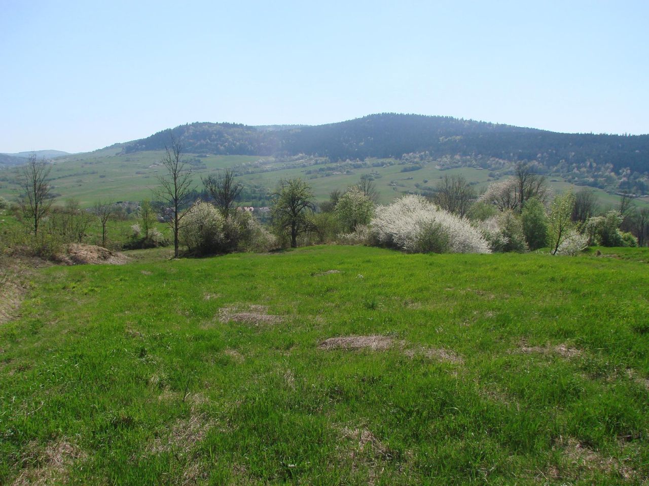 Działka rolna Posada Jaśliska Sołtyskie. Zdjęcie 2