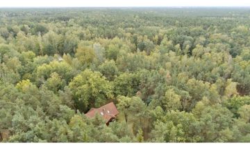 Działka leśna Warszawa Wesoła, ul. Torfowa