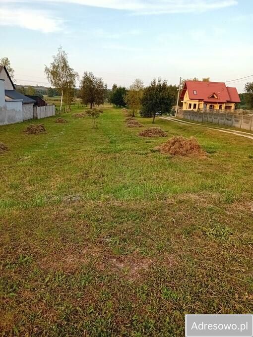 Działka budowlana Radkowice. Zdjęcie 4