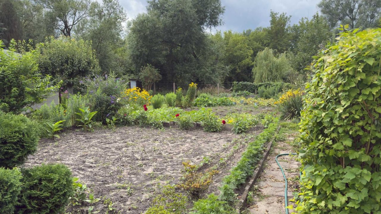Działka rod Brodnica, ul. Paderewskiego. Zdjęcie 4