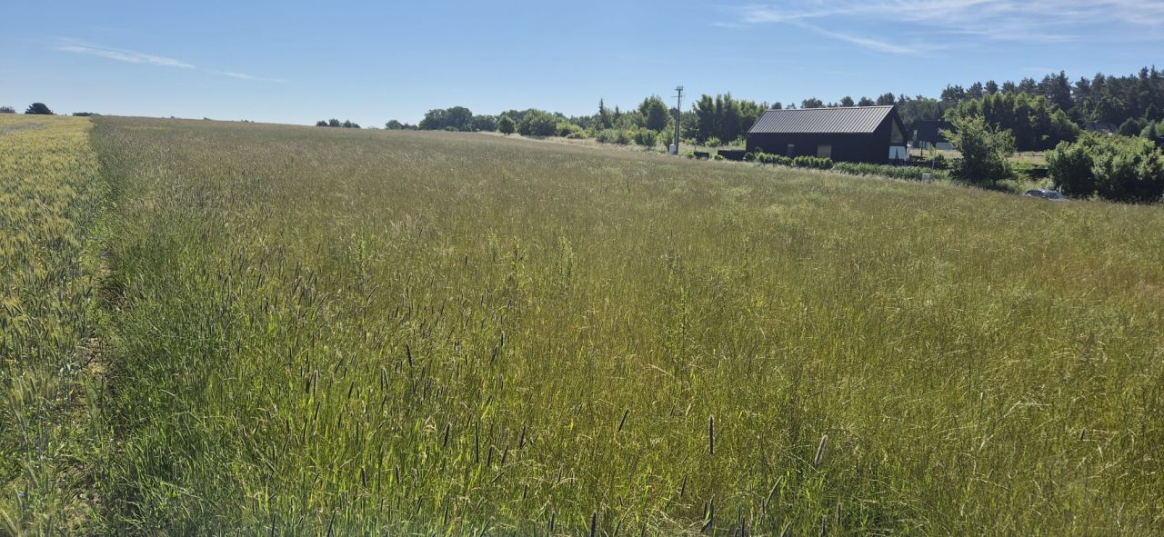 Działka rekreacyjna Sasino, ul. Stara Cegielnia. Zdjęcie 7