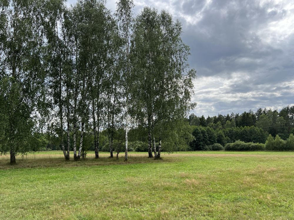 Działka rolna Henrykowo. Zdjęcie 5