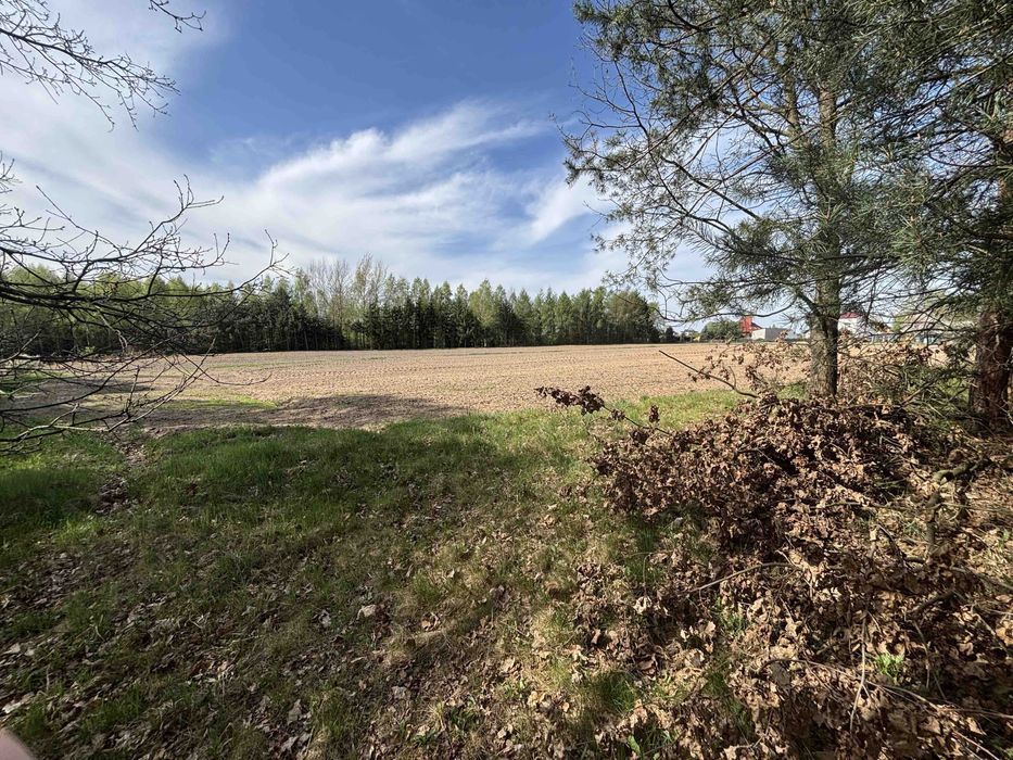 Działka budowlana Leśniaki
