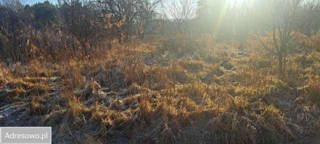 Działka budowlana Zielona Góra Nowy Kisielin, ul. Nowy Kisielin-Kasztanowa. Zdjęcie 1