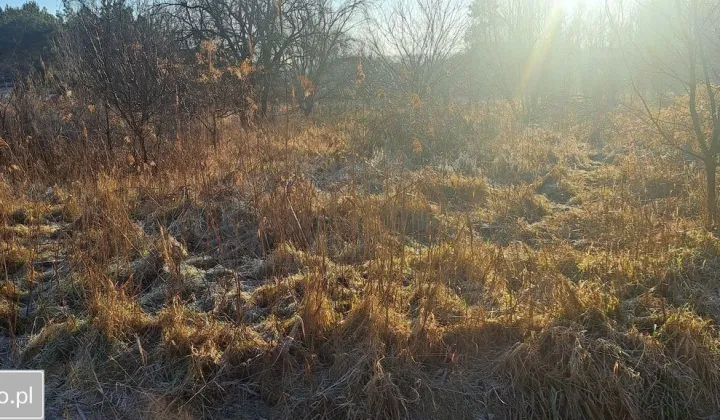 Działka budowlana Zielona Góra Nowy Kisielin, ul. Nowy Kisielin-Kasztanowa