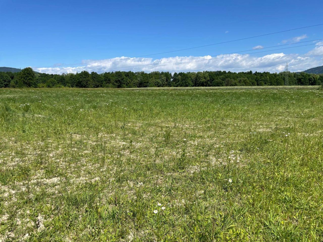 Działka budowlana Rybarzowice, ul. Rybarska. Zdjęcie 2